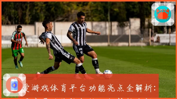 爱游戏体育平台功能亮点全解析：用户界面体验与核心优势综合评测分析